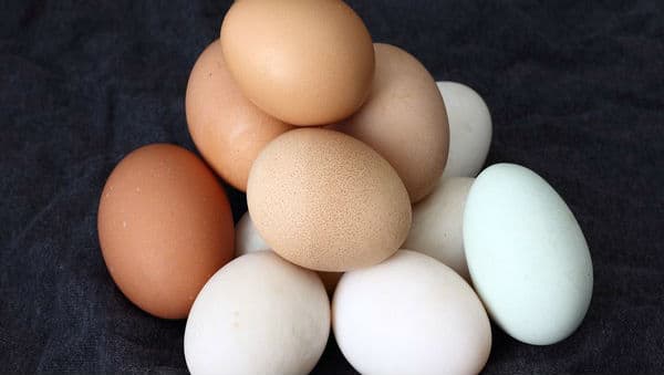 Dietary Cholesterol or Egg Consumption Does Not Increase the Risk of Stroke: Study Dietary Cholesterol or Egg Consumption Does Not Increase the Risk of Stroke: Study