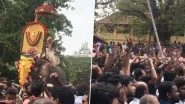 Thrissur Pooram 2019: Elephant Thechikottukavu Ramachandran Arrives at Vadakkumnathan Temple After Being Deemed Fit And Kickstarts Festivities (Pics And Videos)