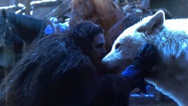 Game Of Thrones Season 8 Episode 6: Jon Snow Finally Pets Ghost in the Finale and Fans Can't Hold Back Their Tears