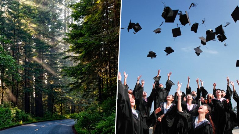Philippines New Law Asks Students to Plant 10 Trees If They Want to Graduate