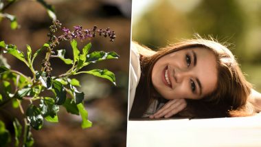 Tulsi for Skin: The Beauty Benefits of Holy Basil for Acne-Free, Glowing Skin (Watch Video)