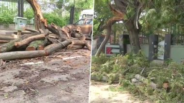 Karnataka Rains: Pre-Monsoon Showers Wreak Havoc in Bengaluru; Trees, Electric Poles Uprooted, Power Cut in Several Areas