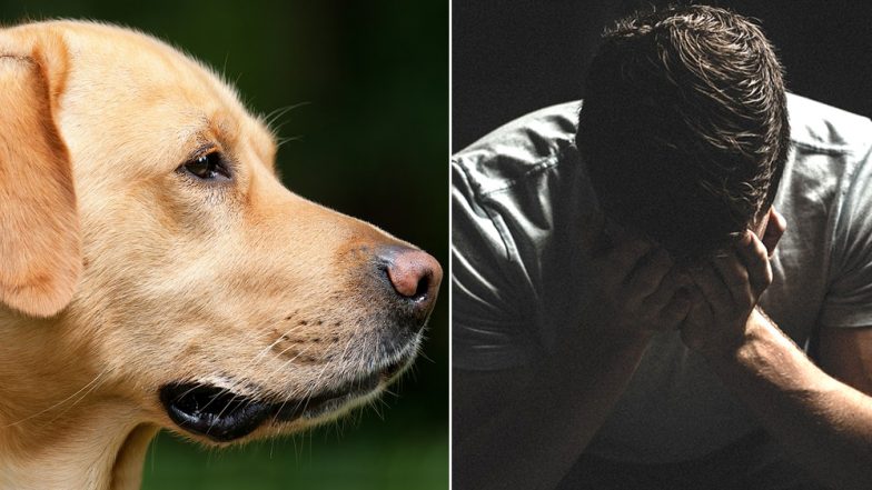No Death Doing Apart! Pet Dog Eaten by Alligator Drives Owner to Commit Suicide in Florida