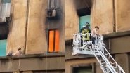 Man Clings to a Building on Fire, Firefighters Rescue Him on a Crane in Rome (Watch Dangerous Video)
