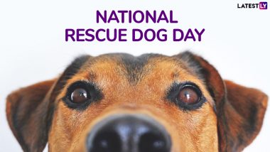 National Rescue Dog Day 2019: The History and Importance of Day Dedicated to Rescued Canines
