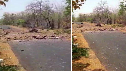 Gadchiroli Blast: PM Narendra Modi Says 'Perpetrators Will Not be Spared' After Naxals Kill 15 Commandos; Others Also React