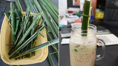 Philippines' Cafe Uses Straws Made of Coconut Leaves, Impressive Initiative Against Use of Plastic Praised Online