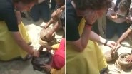 Priyanka Gandhi Meets Snake Charmers in Raebareli, Holds Reptiles in Hand; Watch Video