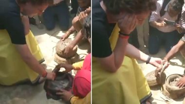 Priyanka Gandhi Meets Snake Charmers in Raebareli, Holds Reptiles in Hand; Watch Video