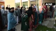 Lok Sabha Elections 2019 Phase 5: Militants Grenade Attack on Polling Station in Pulwama