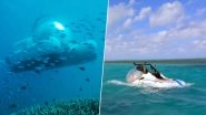 Uber Launches a Submarine For Underwater Tours, You Can Now Explore Australia's Great Barrier Reef With ScUber! (Watch Video)