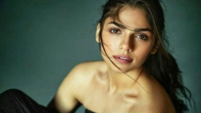 Nepotism Exists in Every Field, Says 'Malaal' Actress Sharmin Segal