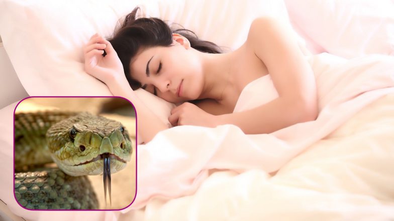 Ssscary Kiss! Brisbane Woman Wakes up To Find a Python Hissing Right Next to Her
