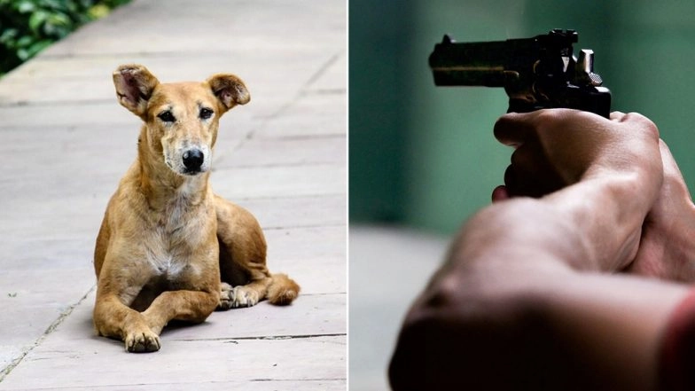 Malaysia's Ipoh City Hall Worker Shoots Stray Dog to Death, Horrific Video Goes Viral