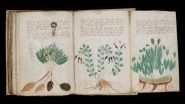 Voynich Manuscript, the Mysterious Codex That Confused the World for Centuries, Decoded, Says Expert