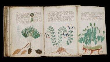 Voynich Manuscript, the Mysterious Codex That Confused the World for Centuries, Decoded, Says Expert