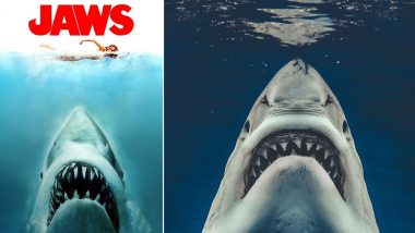 Photographer Captures Great White Shark off Mexico West Coast, Recreates Iconic 1975 Movie Jaws' Poster (See Picture)