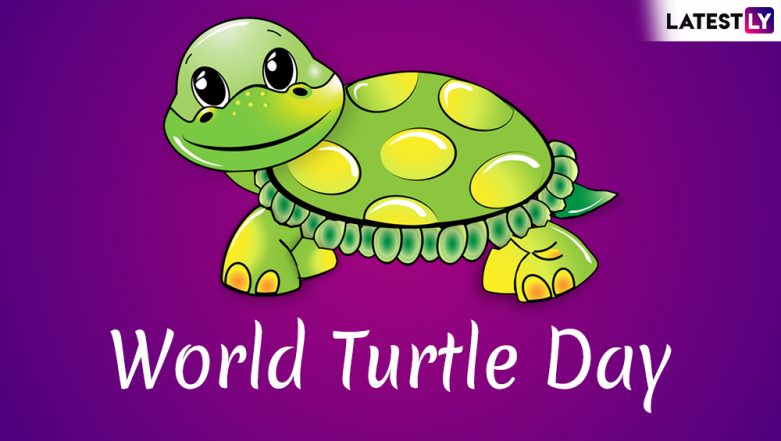 World Turtle Day 21 Date And Significance History Celebrations Of The Observance That Raises Awareness About Protecting Turtles Latestly
