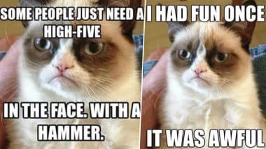 Grumpy Cat's funniest memes in honor of the famous feline's death