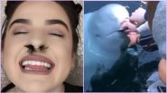 Nose Hair Extensions to Russia&rsquo;s &lsquo;Spy&rsquo; Beluga Whale, 7 Funny and Adorable Videos That Went Viral This Week