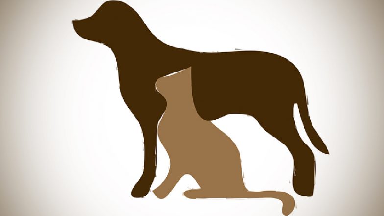 Dead Cat and Dog Carcasses Along With 35 Pets Found in Woman's Flat in Mumbai, Residents Suspect Black Magic