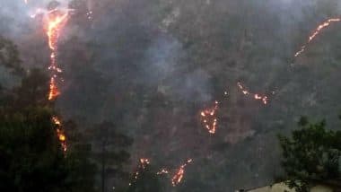 Uttarakhand Forest Fires: Massive Wildfires Continue to Spread in Tehri Forests, Almora, Nainital Worst Hit; See Pics