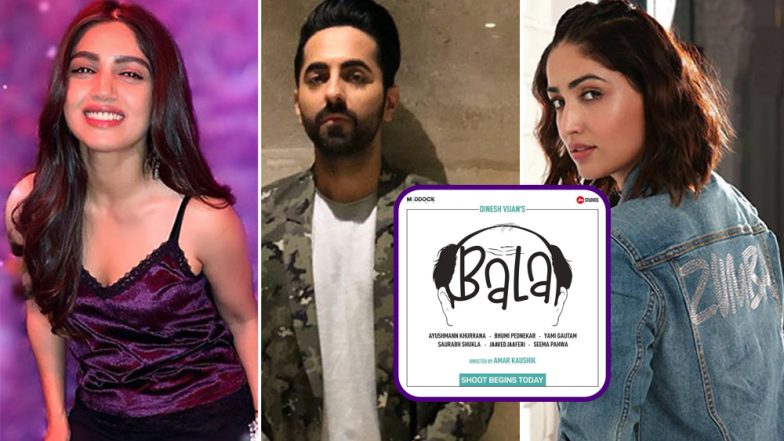 Bala Goes on Floor - Here’s All You Need to Know About Ayushmann Khurrana, Yami Gautam and Bhumi Pednekar’s Film