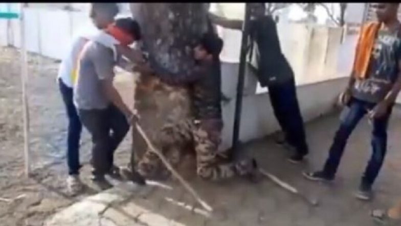 MP Beef Assault Case: Police Arrest 2 People for Selling Meat to 3 Muslim Victims Thrashed by Gaurakshaks