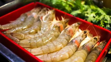 Scientists Find Cocaine in UK Shrimp