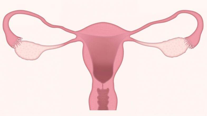 World Ovarian Cancer Day 2019: Symptoms and Risk Factors Women Shouldn’t Ignore World Ovarian Cancer Day 2019: Symptoms and Risk Factors Women Shouldn’t Ignore