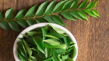 The Many Benefits Of Curry Leaves or Kadi Patta For Skin And Hair