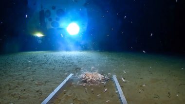 Man Makes Deepest Ever Dive, Finds Plastic Bag at the Bottom of the Mariana Trench