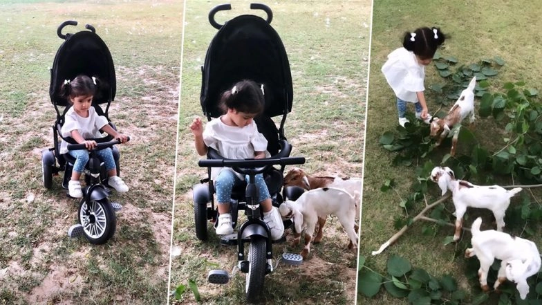 Gajini Actress Asin Thottumkal’s Little Munchkin Arin Looks Adorable Beyond Words in These Latest Instagram Pics