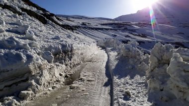 Himachal Pradesh: Rohtang Pass, at 13,050 Feet in Kullu, Reopens for Motorists After 6 Months