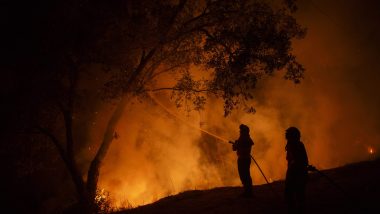 Heatwave Grips Europe, Spain Battles Biggest Wildfires in 20 Years