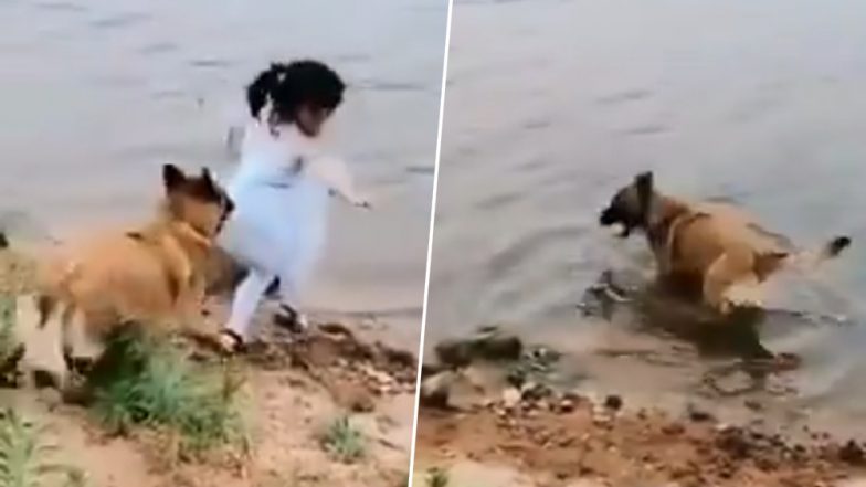 Dog Saves Girl from Falling and Drowning, Viral Video Leaves Internet in Tears