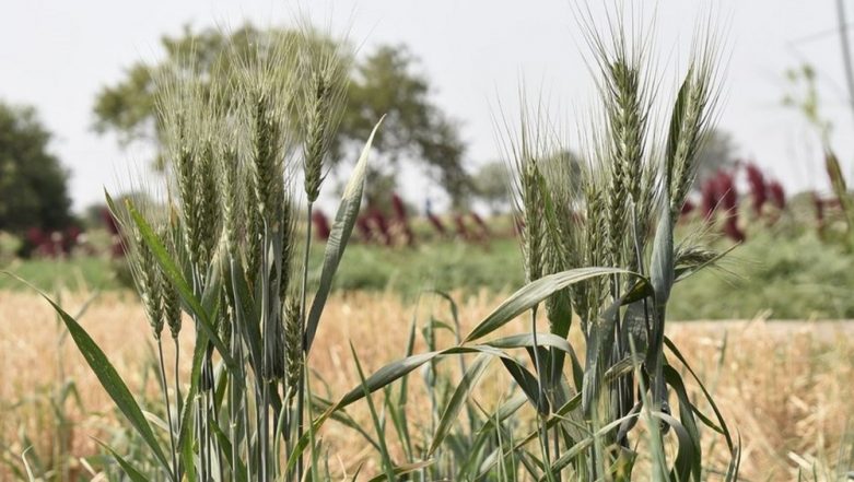 Transgenders Get Right to Inherit Agricultural Land in Uttar Pradesh