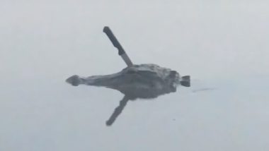 Alligator With a Knife Stuck in its Head Spotted in Texas Lake! Watch Shocking Video