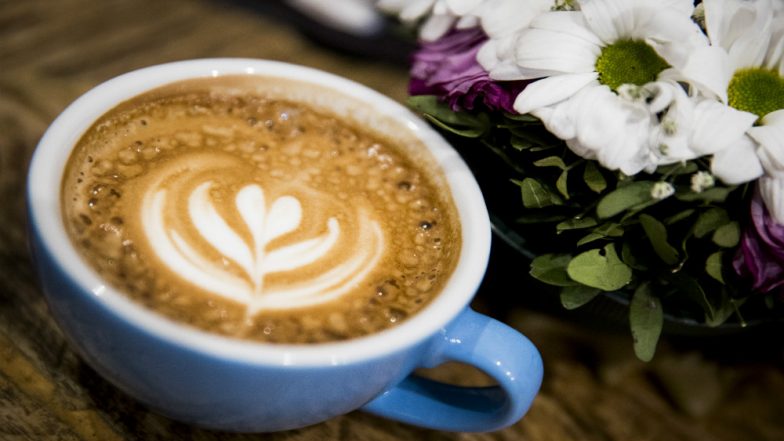 World Environment Day 2019: Barista Launches Campaign to Gift Plant Seeds to Customers