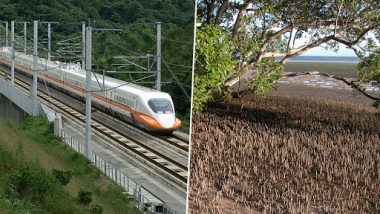 Bullet Train’s Cost on Nature: 54,000 Mangroves to Be Uprooted in Maharashtra Alone