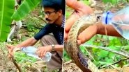 Cobra Drinks Water From Bottle! Video of Forest Official Comforting the Snake Goes Viral