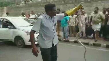 Snake, 8-Feet-Long, Found Inside Car Bonnet in Tirumala, Andhra Pradesh; Watch Video