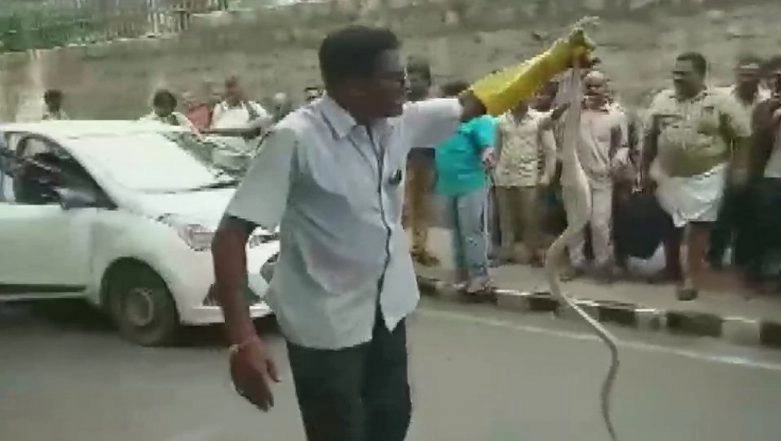 8 Foot Long Snake Found Inside Car Bonnet in Tirumala, Watch Video