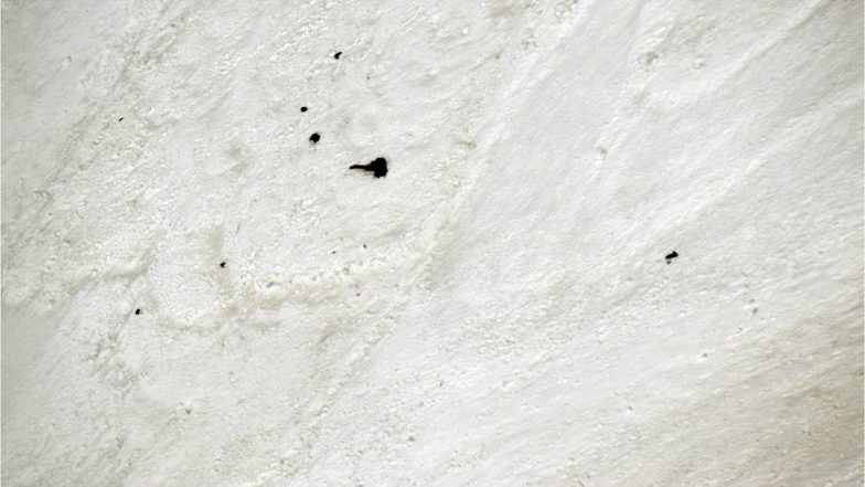 Pictures of Bodies Believed to be of 8 Missing Trekkers Released by ITBP, IAF Continues Search Operation