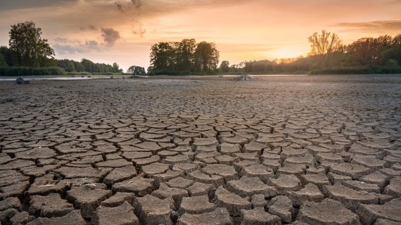World Day to Combat Desertification and Drought 2019: Theme And Significance of the Observance That Raises Awareness on Protection of Land