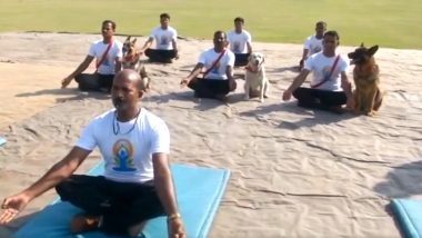 International Day of Yoga 2019: Dog Squad of BSF Perform Yoga in Jammu