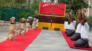 International Yoga Day 2019: Rahul Gandhi Mocks Narendra Modi's 'New India' Slogan, Tweets Pics of Dogs Doing Yoga