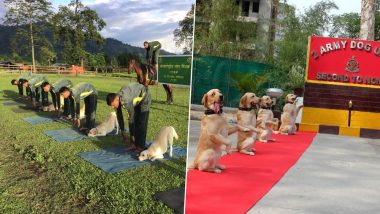 International Day of Yoga 2019: Dogs Of Indian Army and ITBP Dog Squads Perform Asanas With Jawans; Watch Cute Pics and Videos