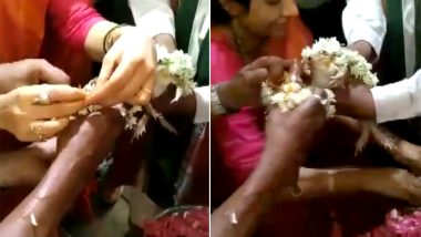 Frogs' Married in Karnataka's Udipi District to Appease Rain Gods and Solve Water Scarcity (Watch Video)