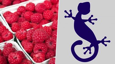 Creepy Berry! Live Gecko Found in a Box of Raspberries in UK Supermarket